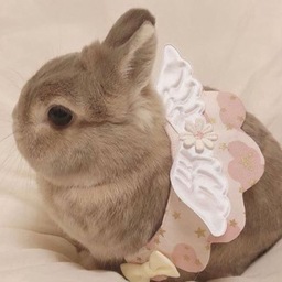 @bun