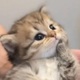 @5YONGNEN