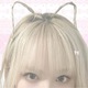 @porceline