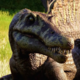 @dinosaur