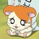 @aeham