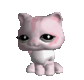 @Maiu