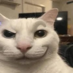 @Meowmeowmeowman
