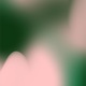 @1106pages