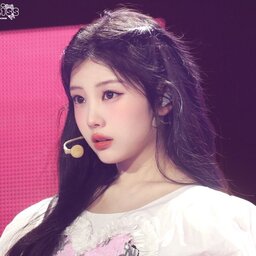 @553bunny