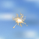 @0219sparkler