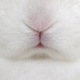 @buncest